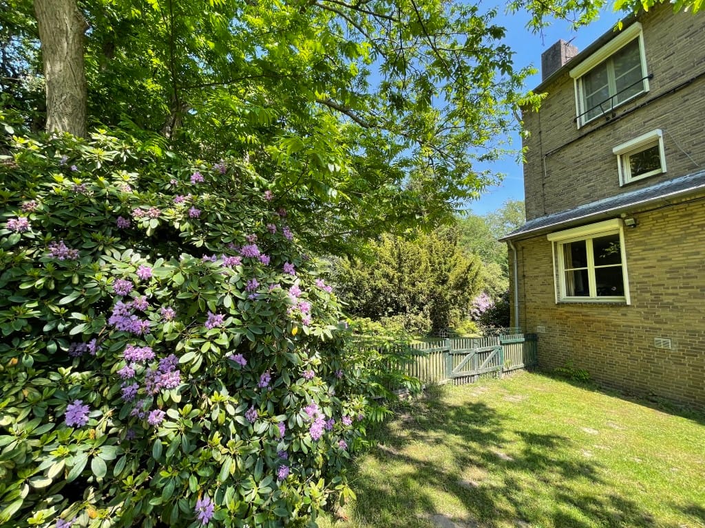 Foto 62 van Renheide 2