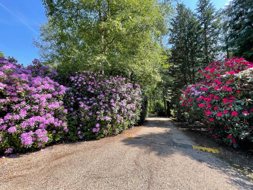 Foto 12 van Renheide 2