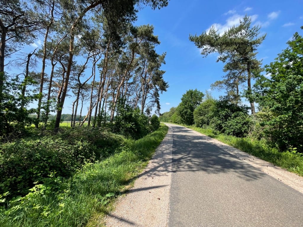 Foto 84 van Renheide 2