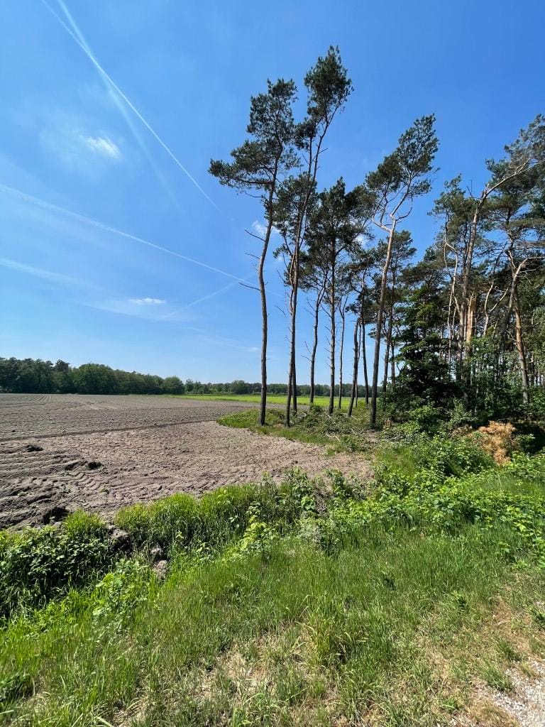 Foto 85 van Renheide 2