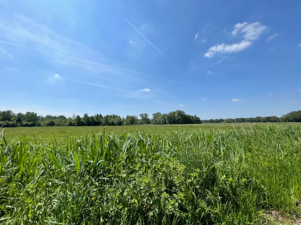 Foto 86 van Renheide 2