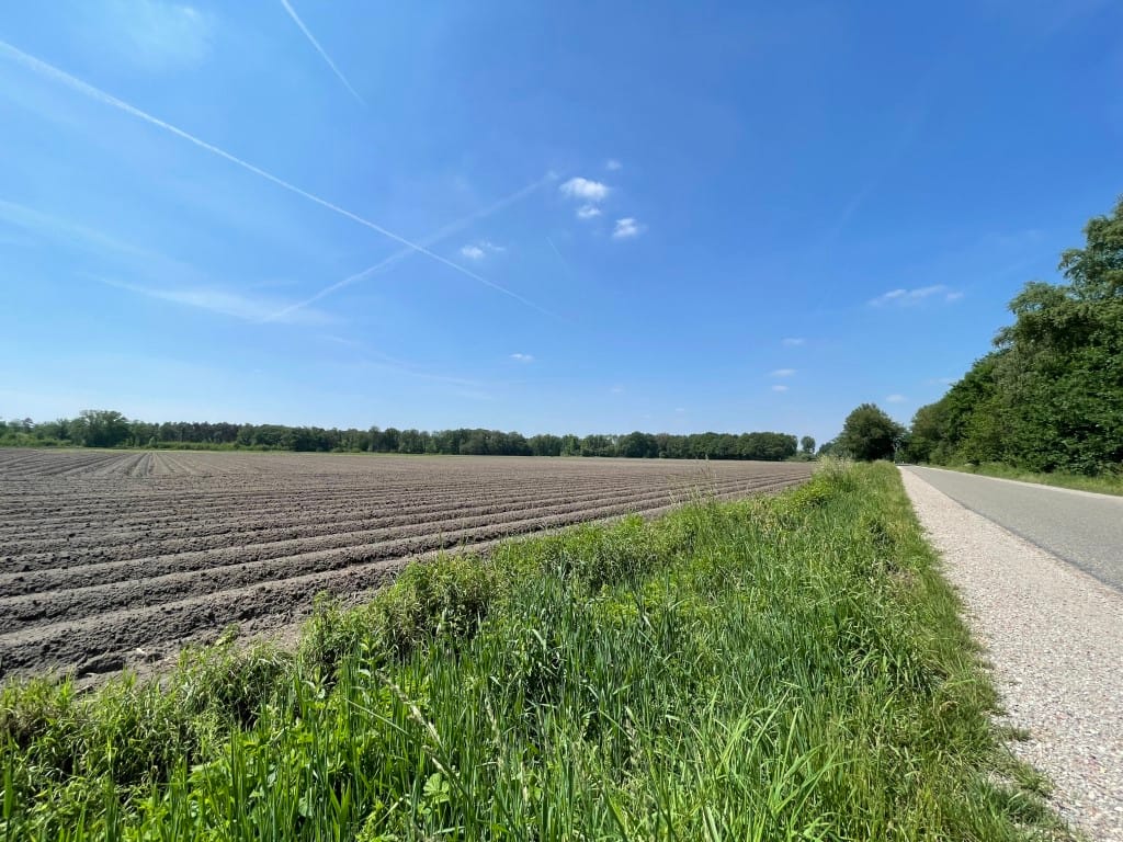 Foto 83 van Renheide 2