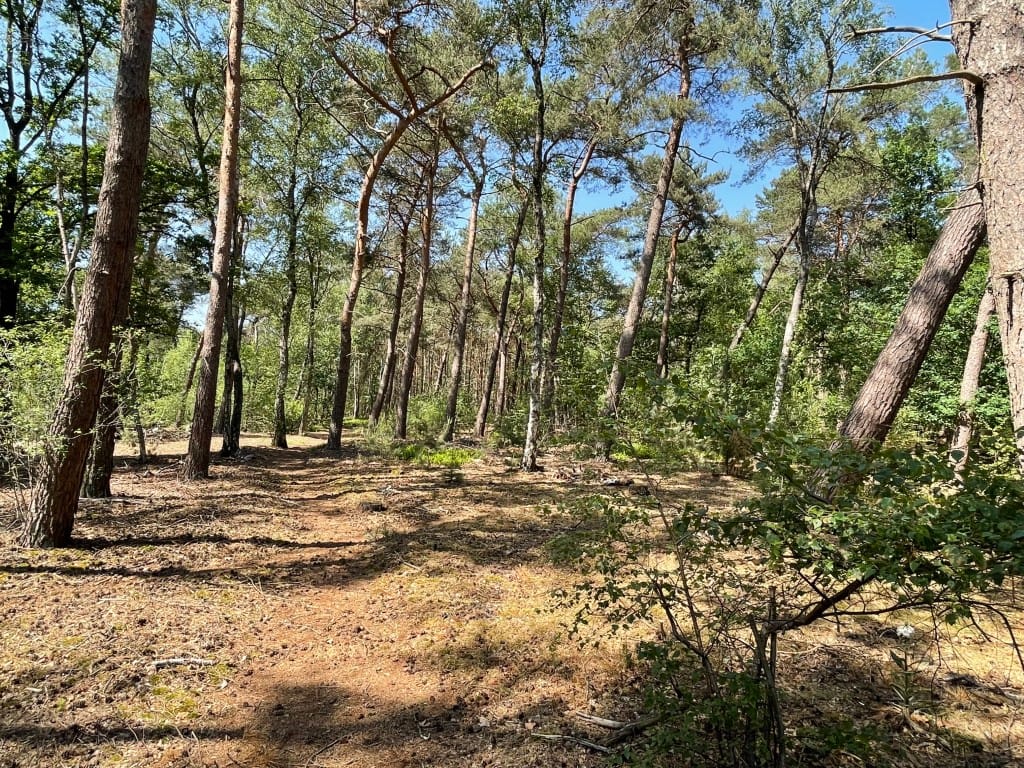 Foto 50 van Renheide 2