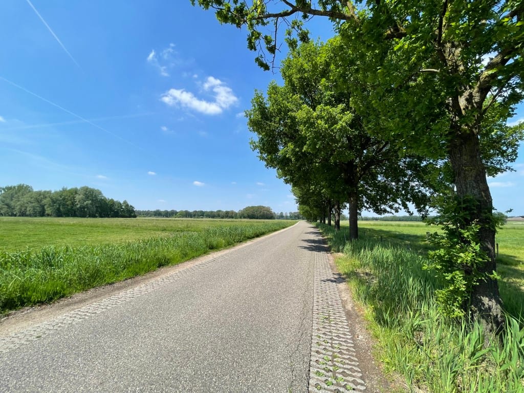 Foto 87 van Renheide 2