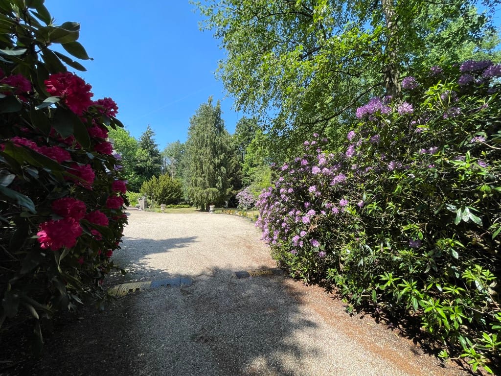 Foto 70 van Renheide 2