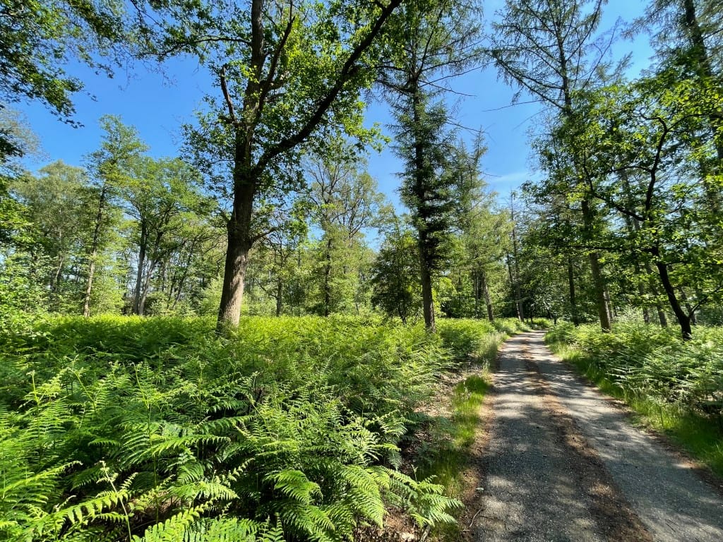 Foto 79 van Renheide 2