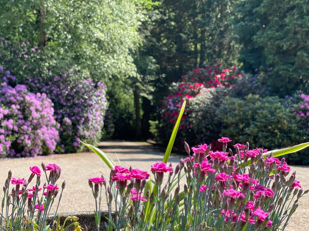 Foto 67 van Renheide 2