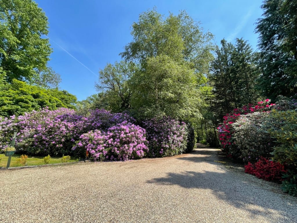 Foto 11 van Renheide 2