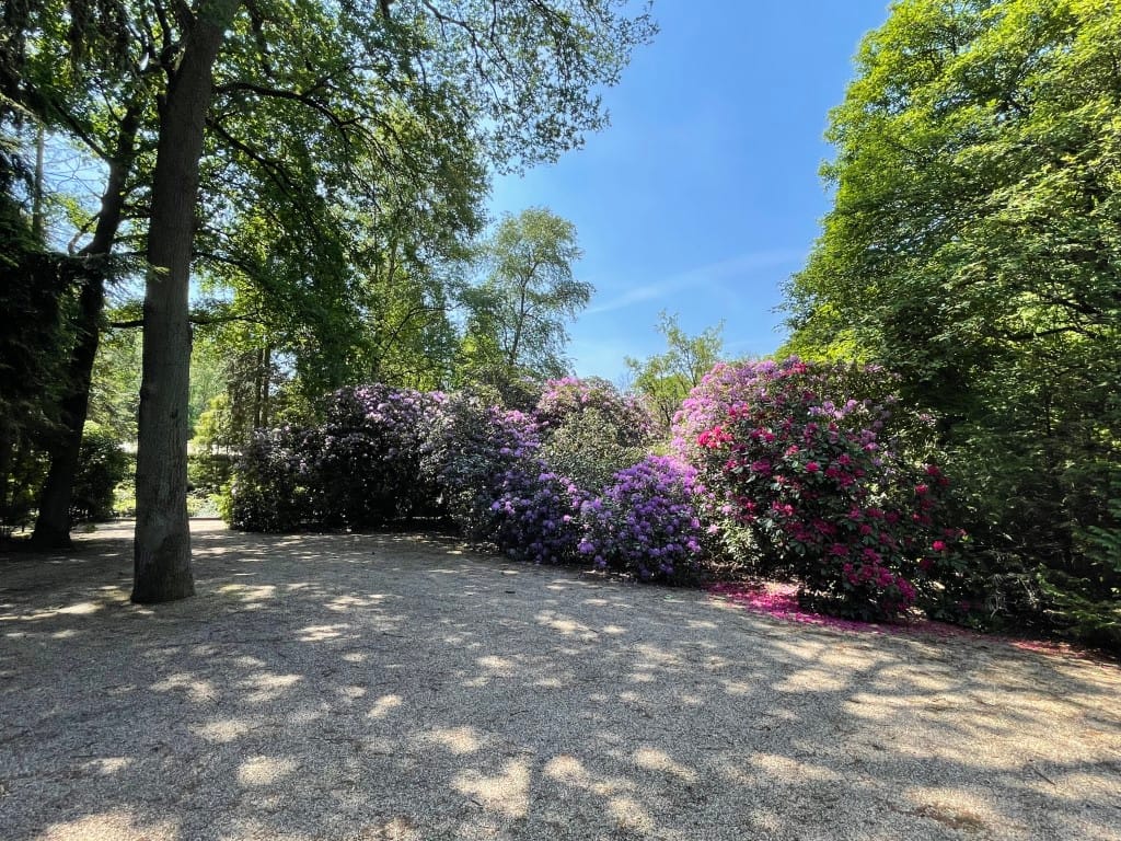 Foto 74 van Renheide 2