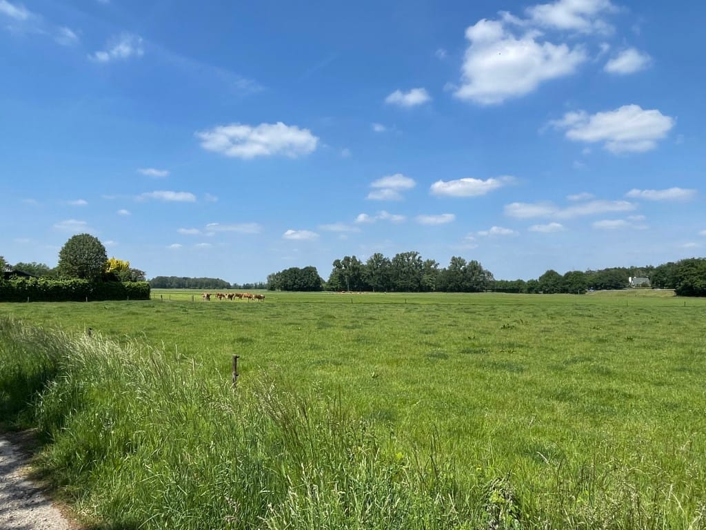 Foto 88 van Renheide 2