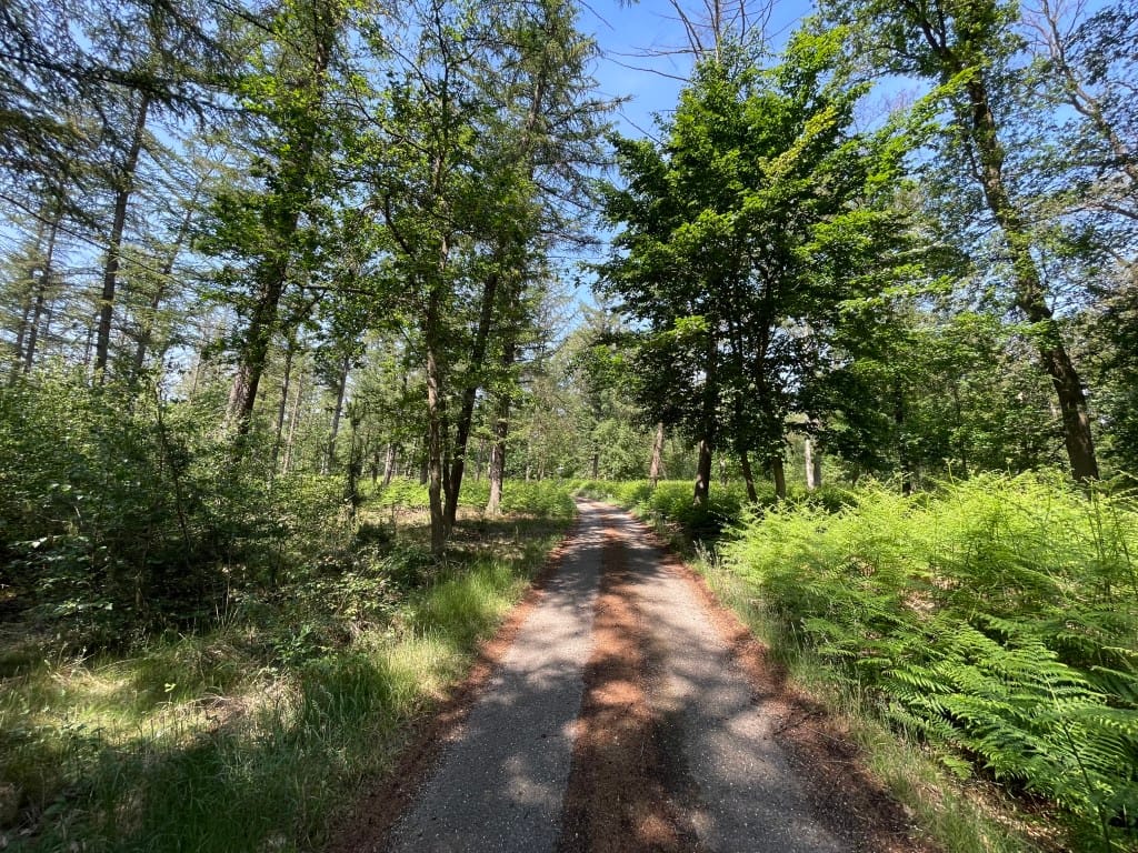 Foto 78 van Renheide 2