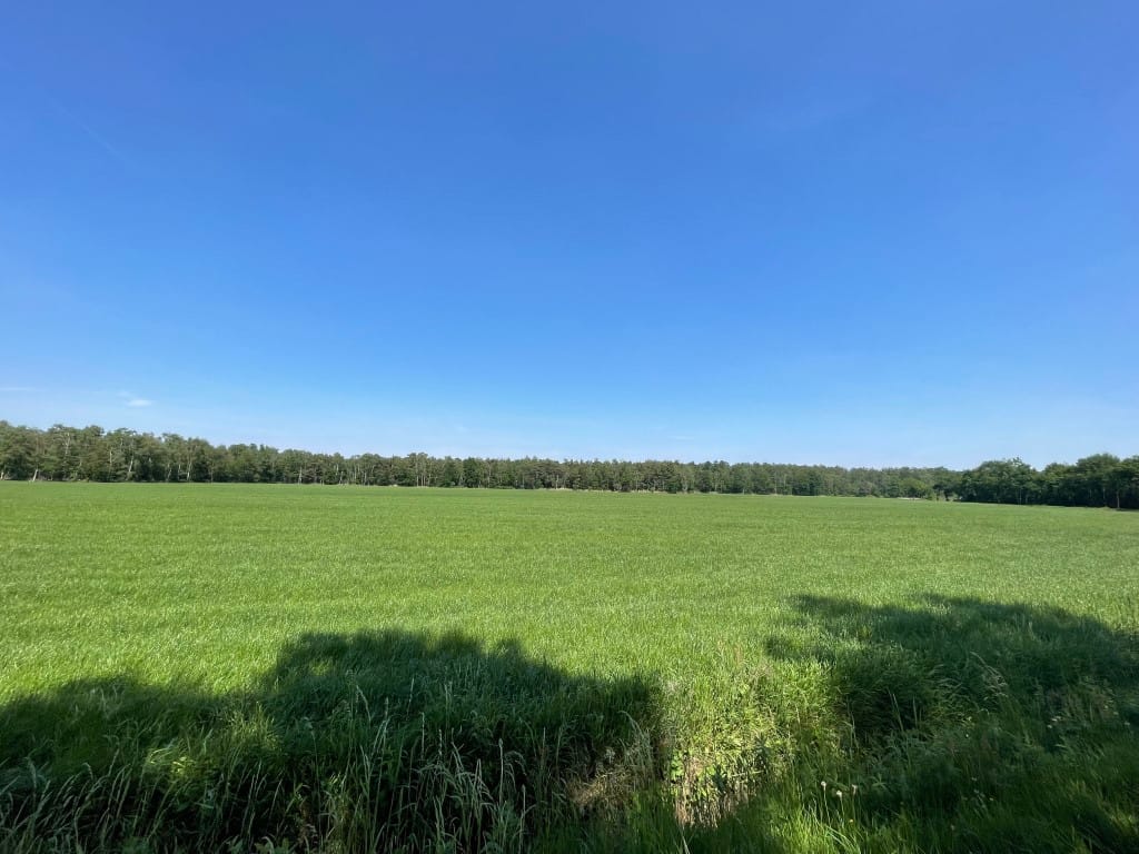 Foto 82 van Renheide 2