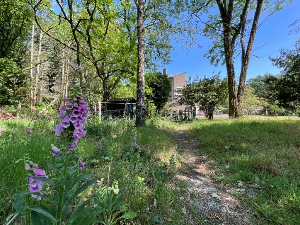 Foto 60 van Renheide 2