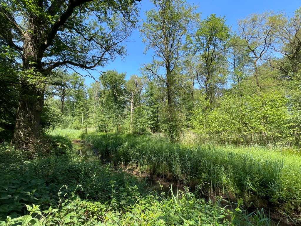 Foto 77 van Renheide 2