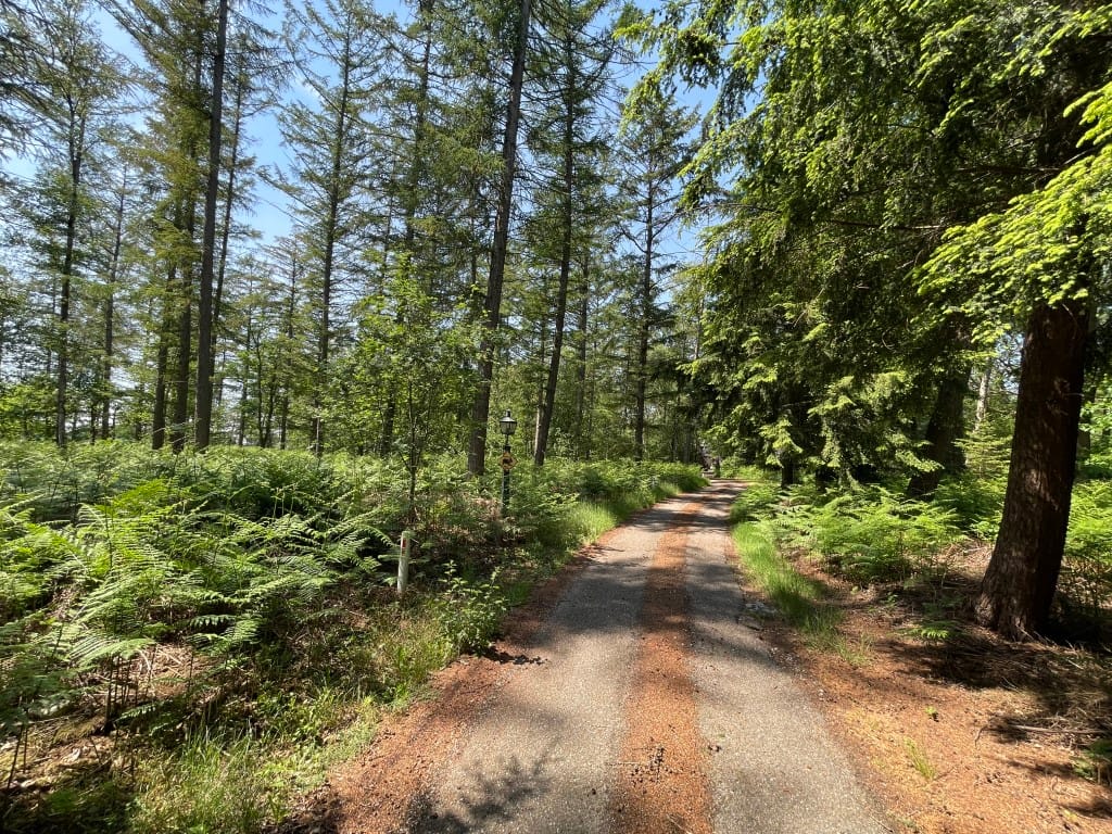 Foto 6 van Renheide 2