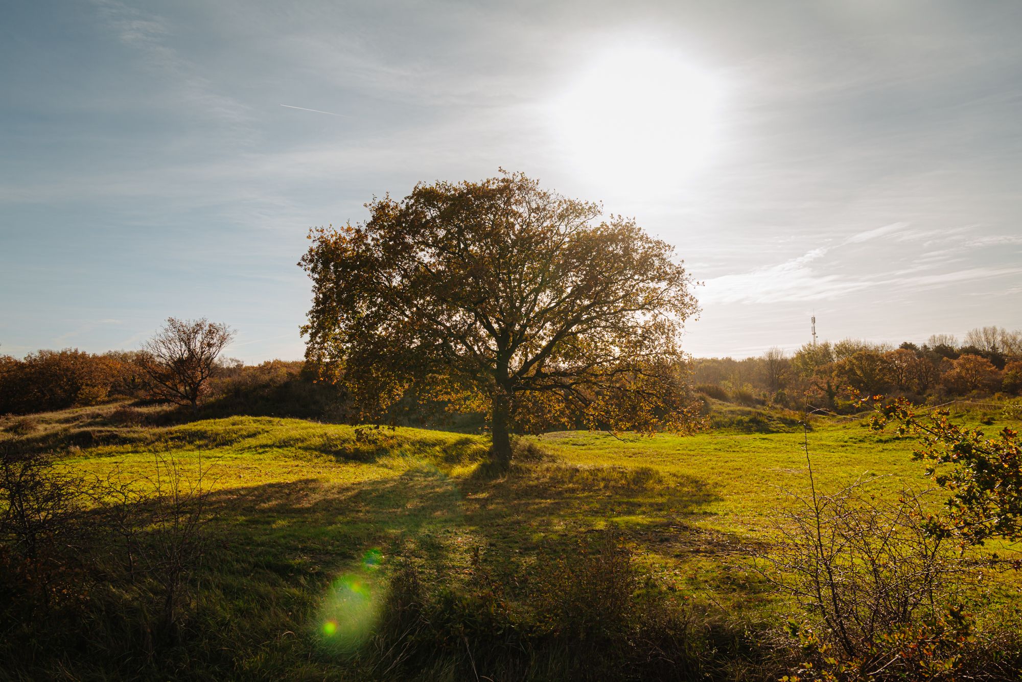 Foto 72 van FHG v Itersonlaan 44