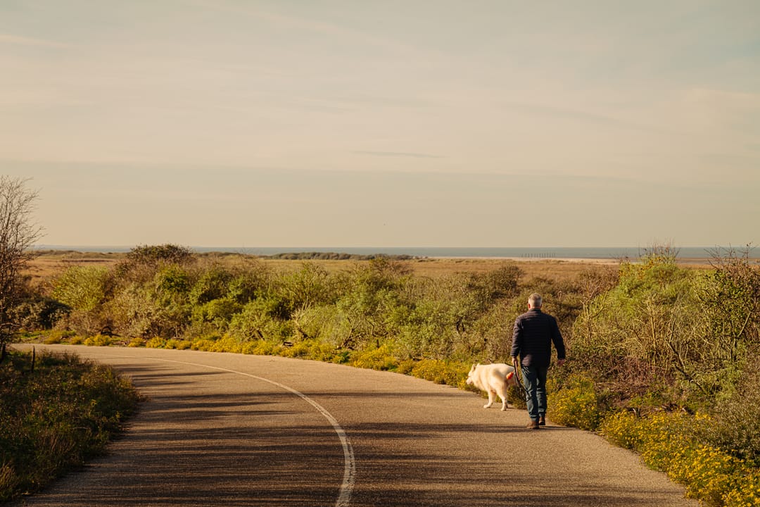 Foto 73 van FHG v Itersonlaan 44