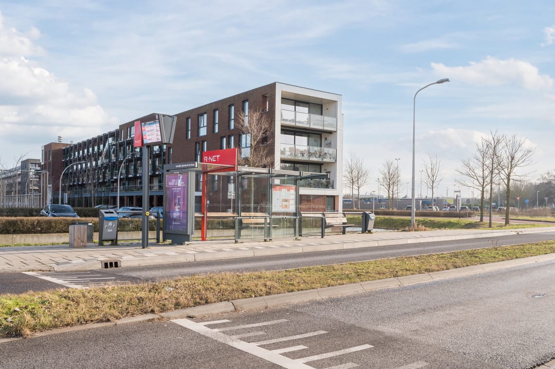 Photo 31 of Pollux 22