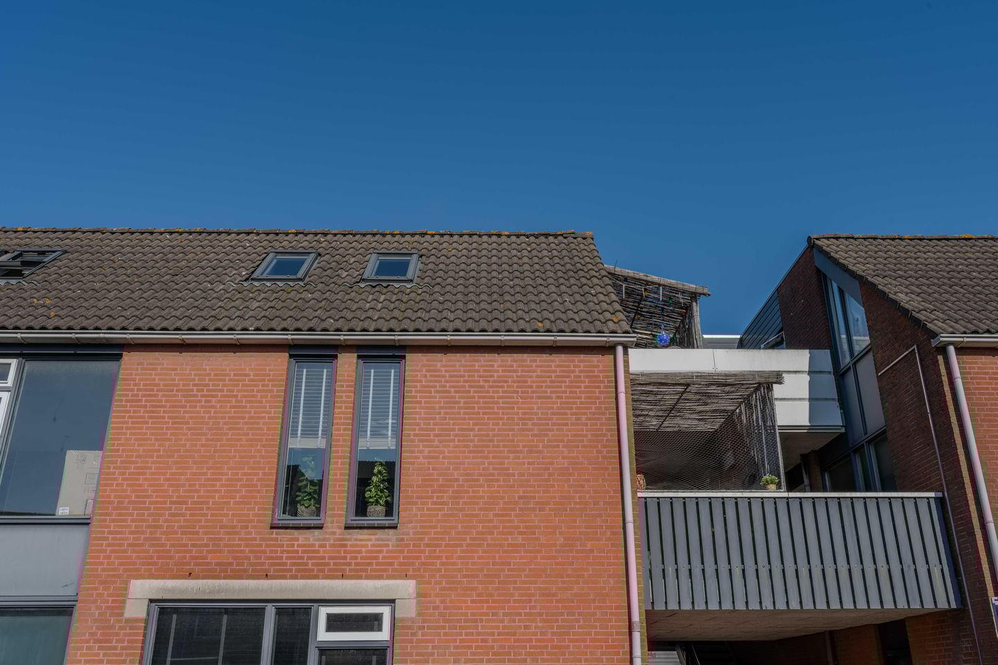 Photo 29 of Pollux 22