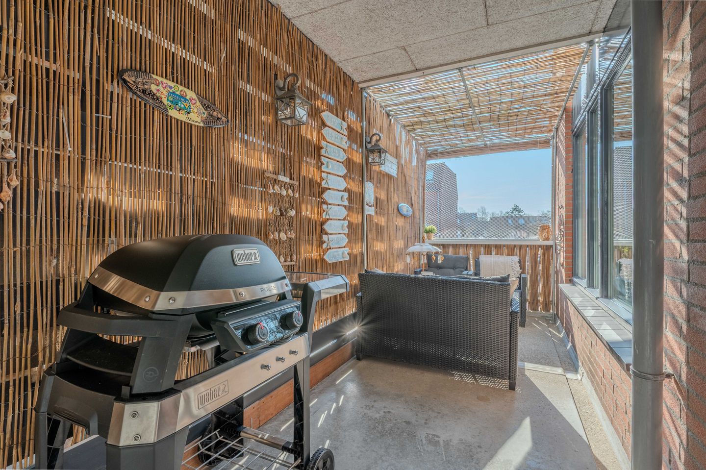 Photo 5 of Pollux 22