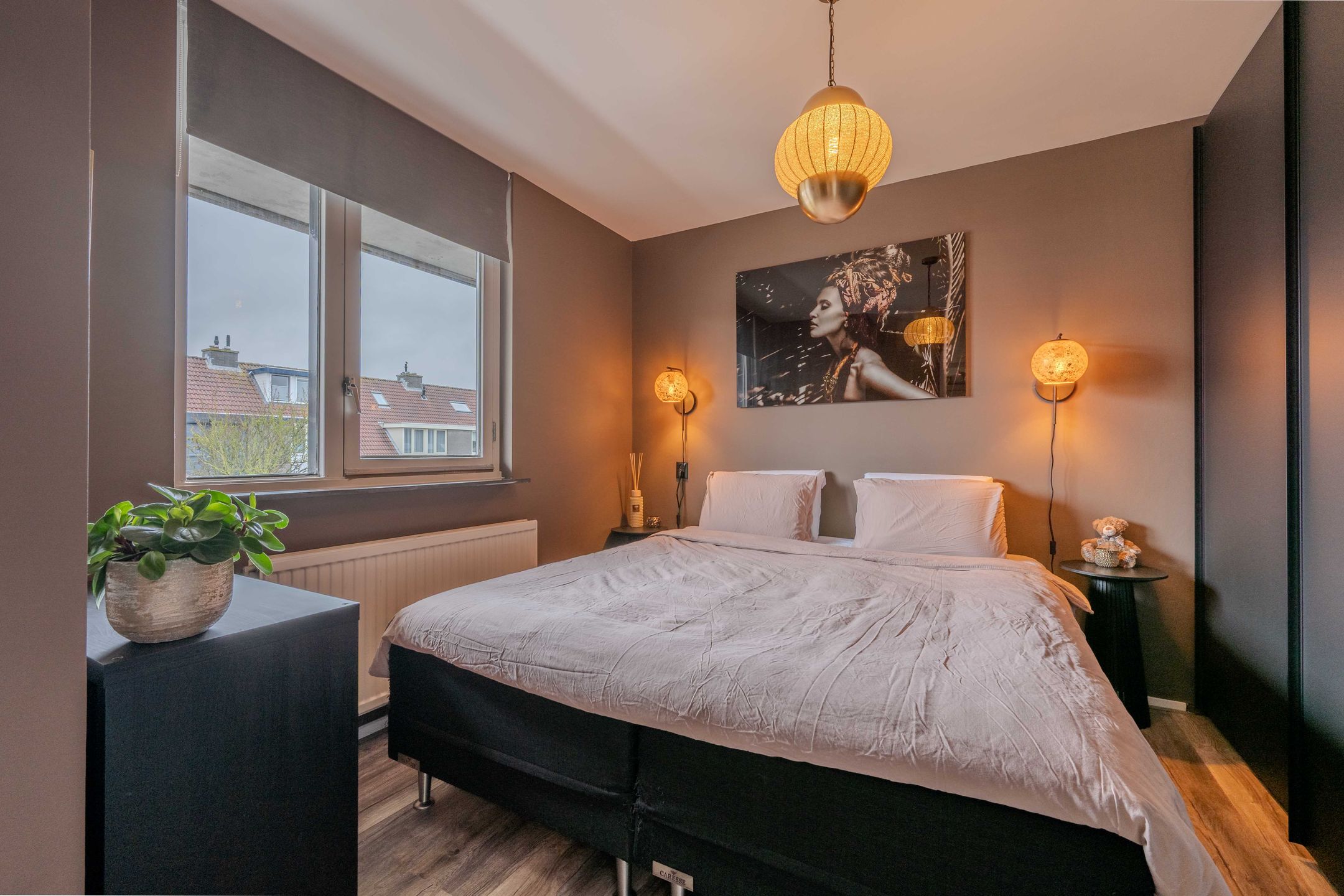 Photo 24 of Pollux 22