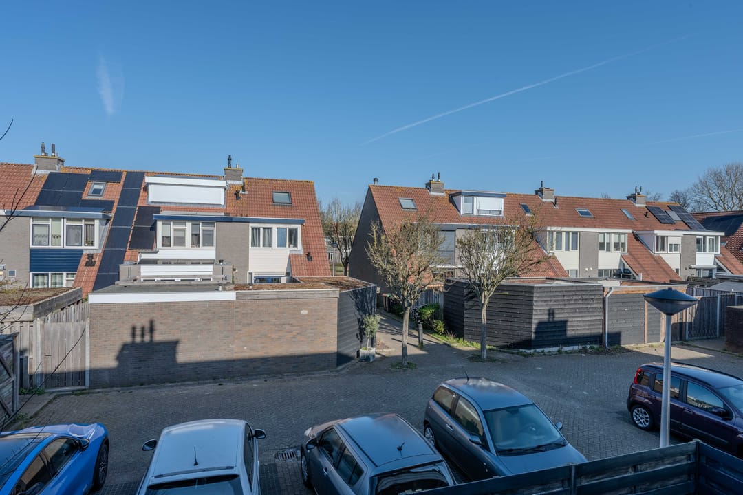 Photo 28 of Pollux 22