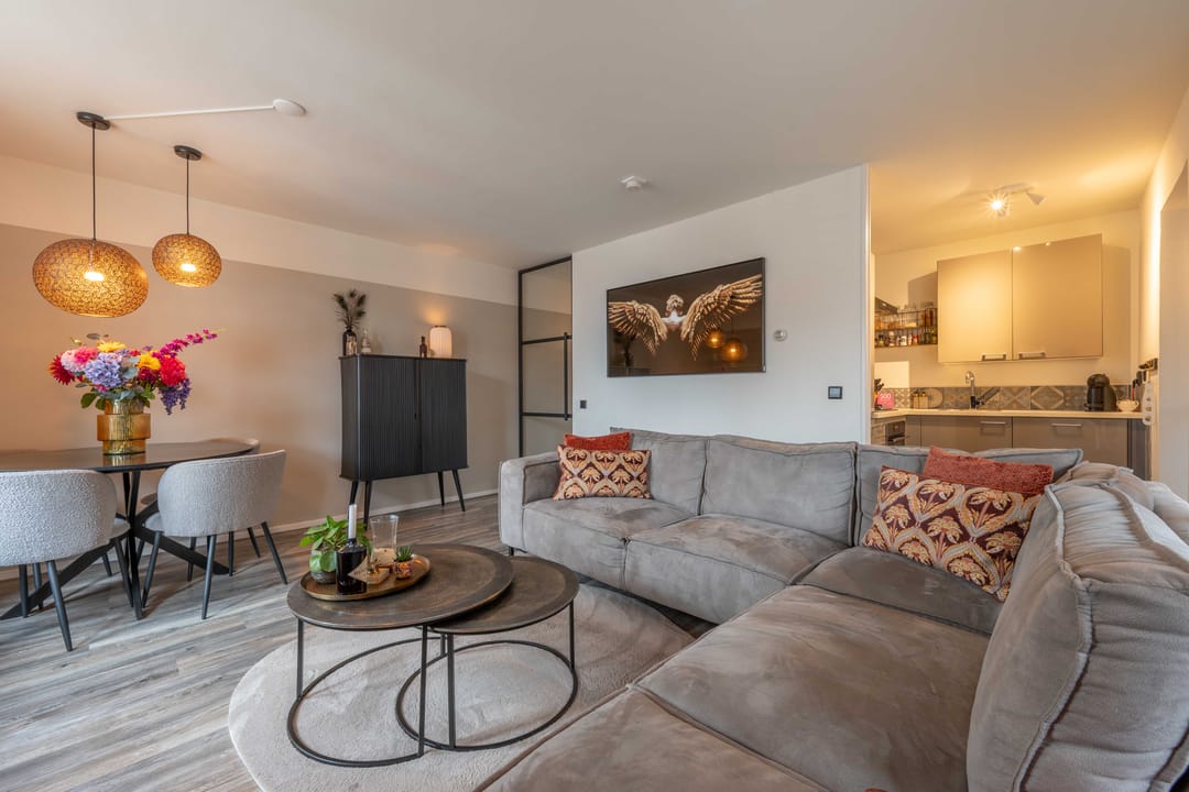 Photo 16 of Pollux 22