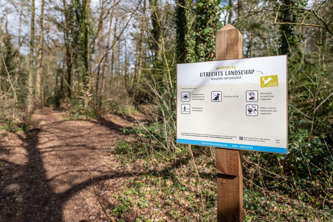 Foto 56 van de Wetstein Pfisterlaan 29