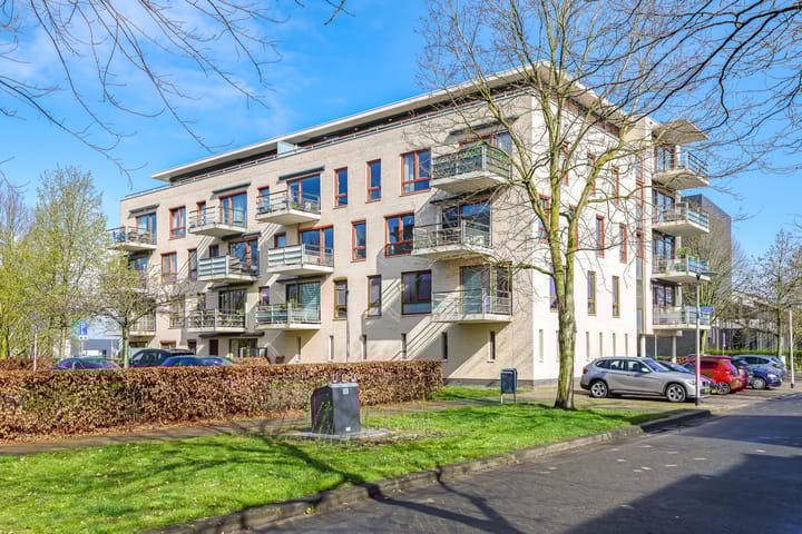 Brasem 36 main image