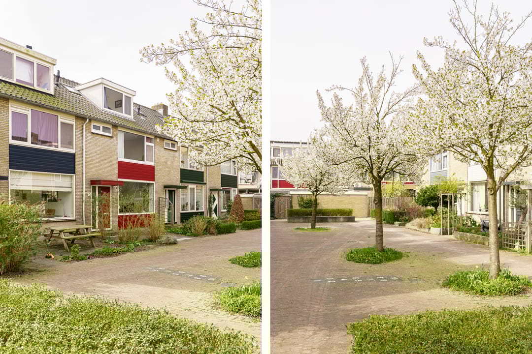 Foto 22 van Tilanussingel 3