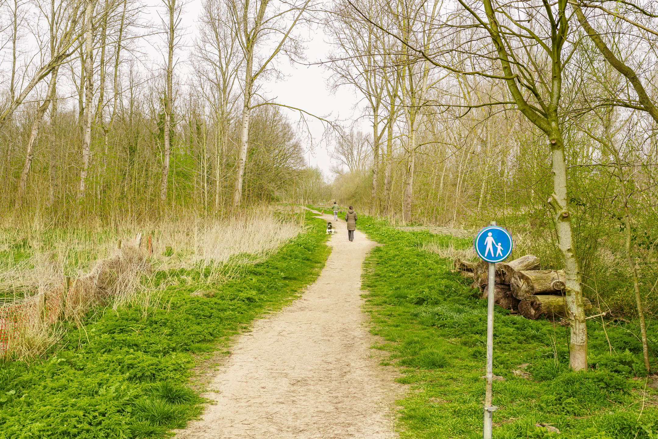 Foto 27 van Tilanussingel 3