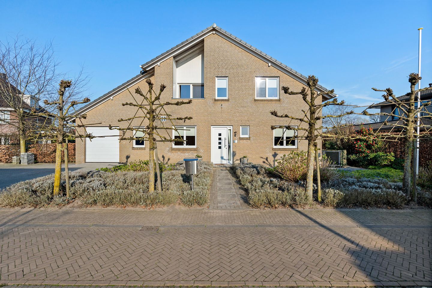 Foto 50 van Sint-Janskruid 15