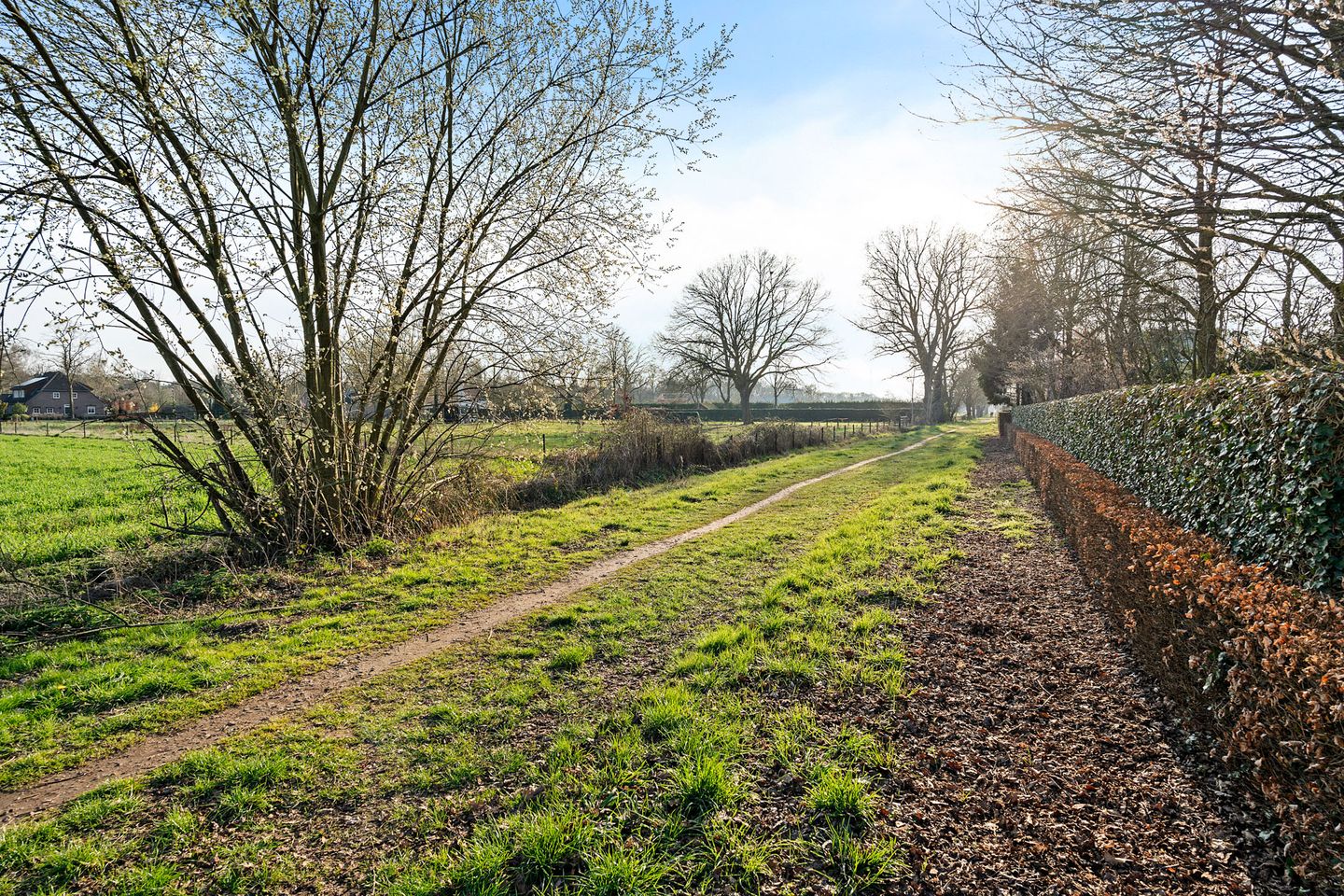 Foto 55 van Sint-Janskruid 15