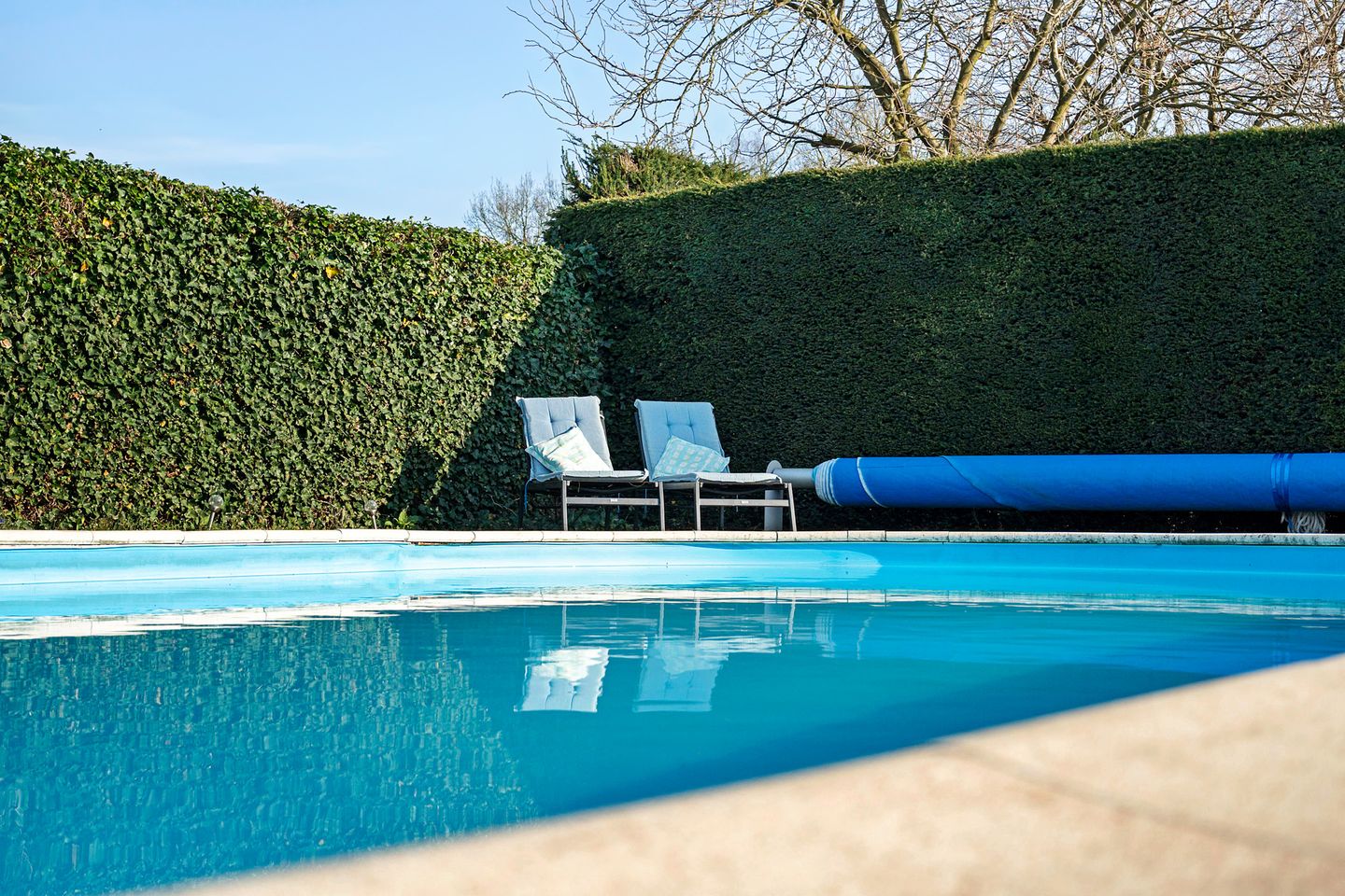 Foto 44 van Sint-Janskruid 15