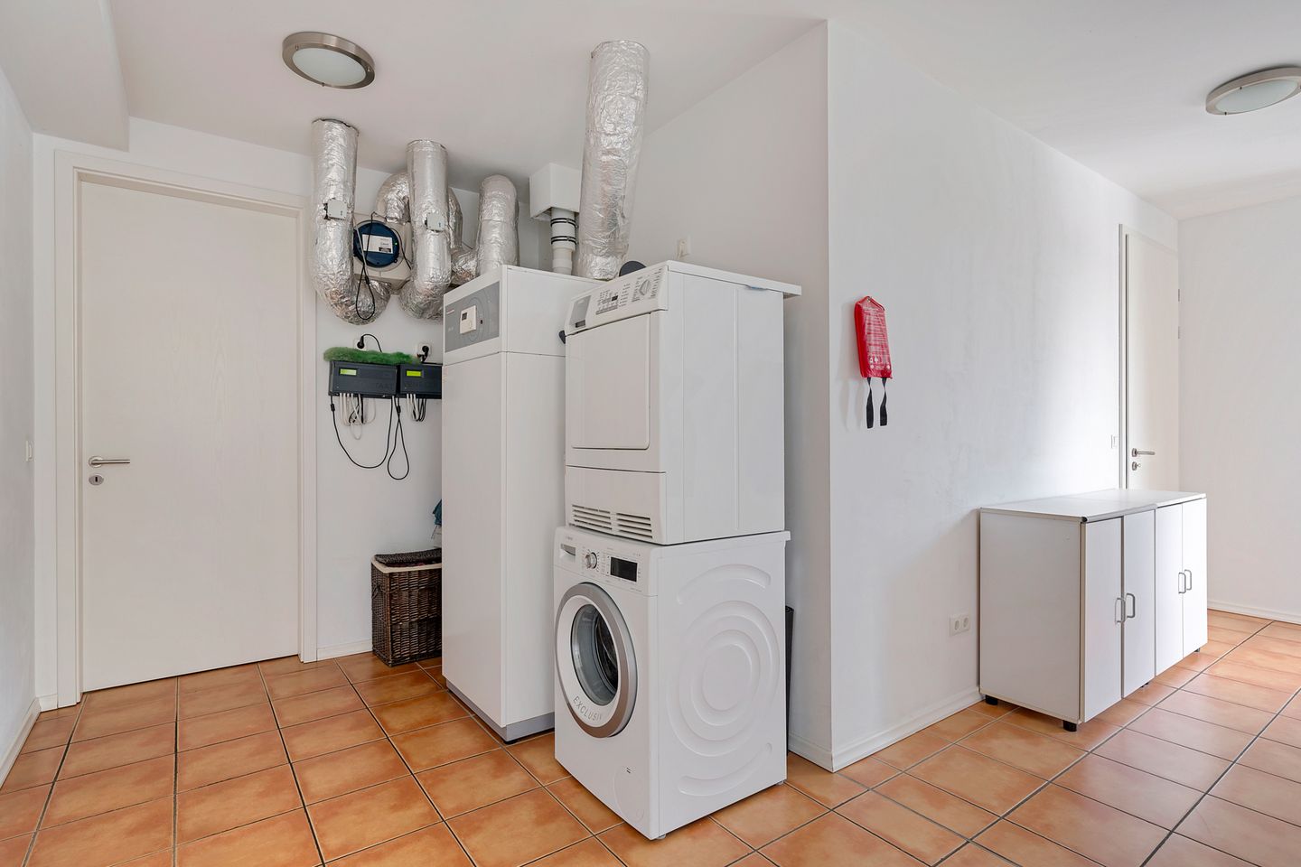 Foto 14 van Sint-Janskruid 15