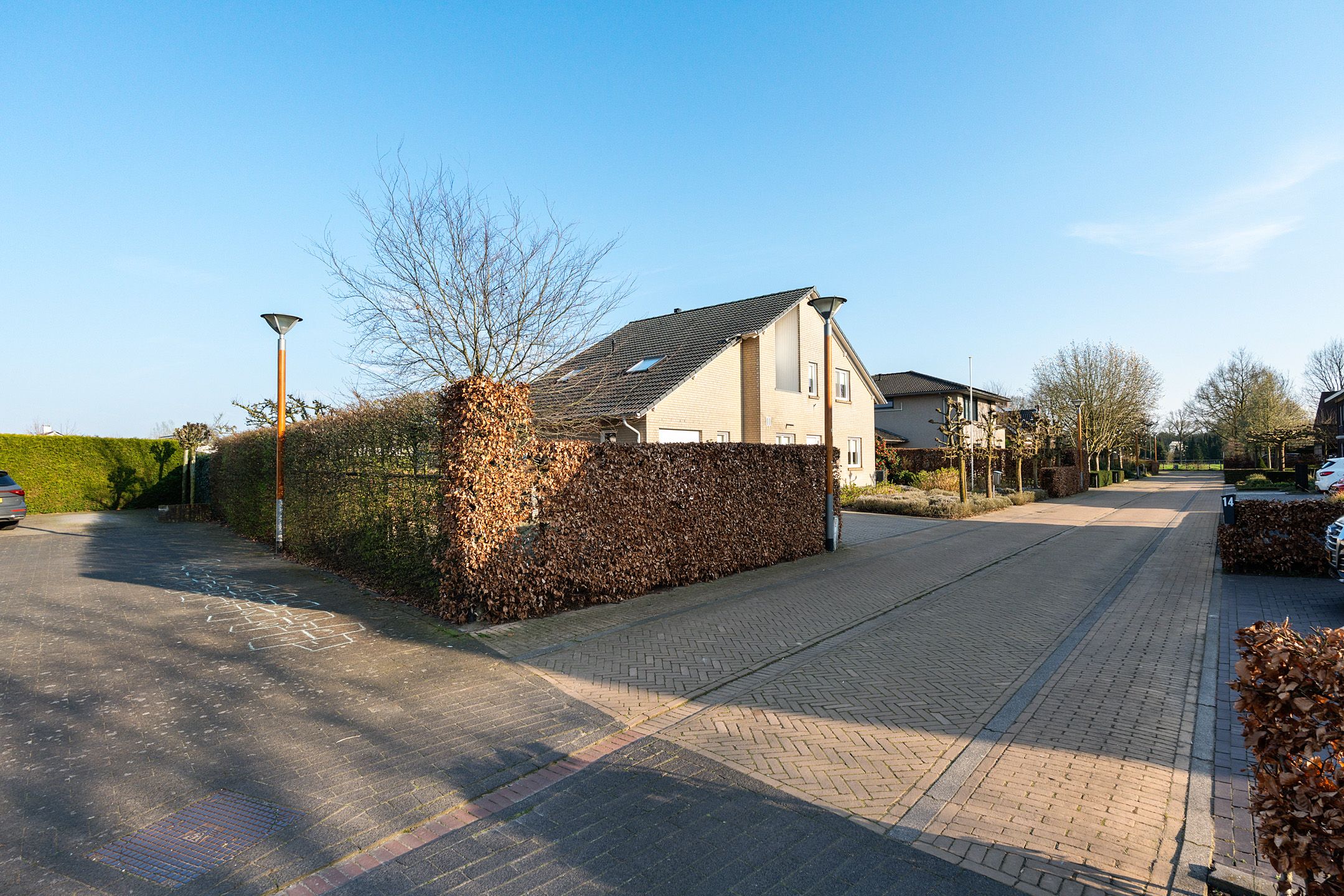 Foto 51 van Sint-Janskruid 15