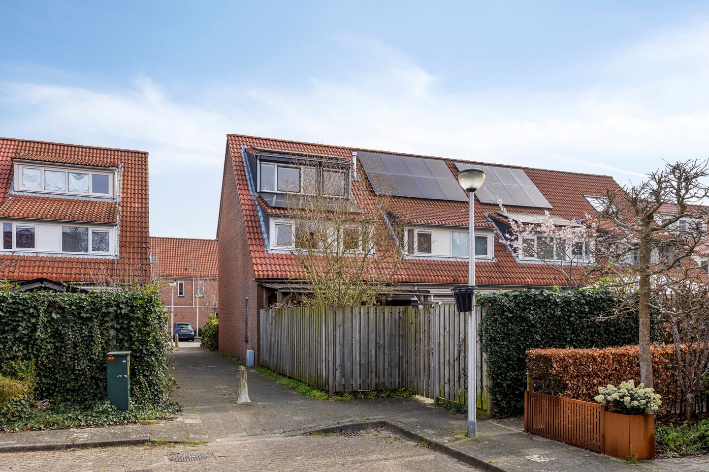 Foto 49 van Libellendans 25