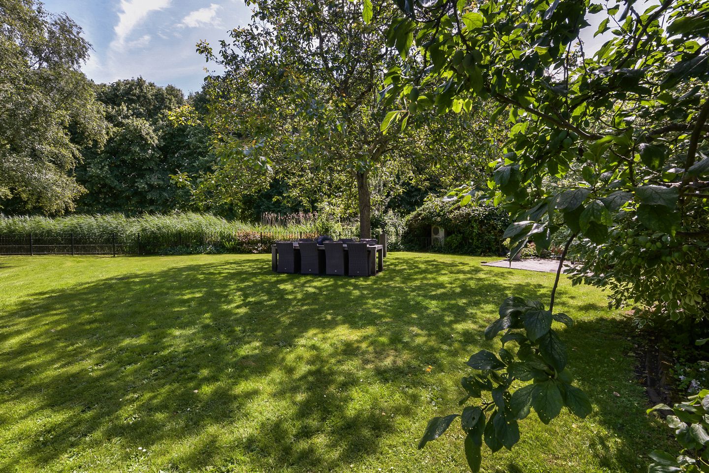 Foto 49 van Bloemendaal 4