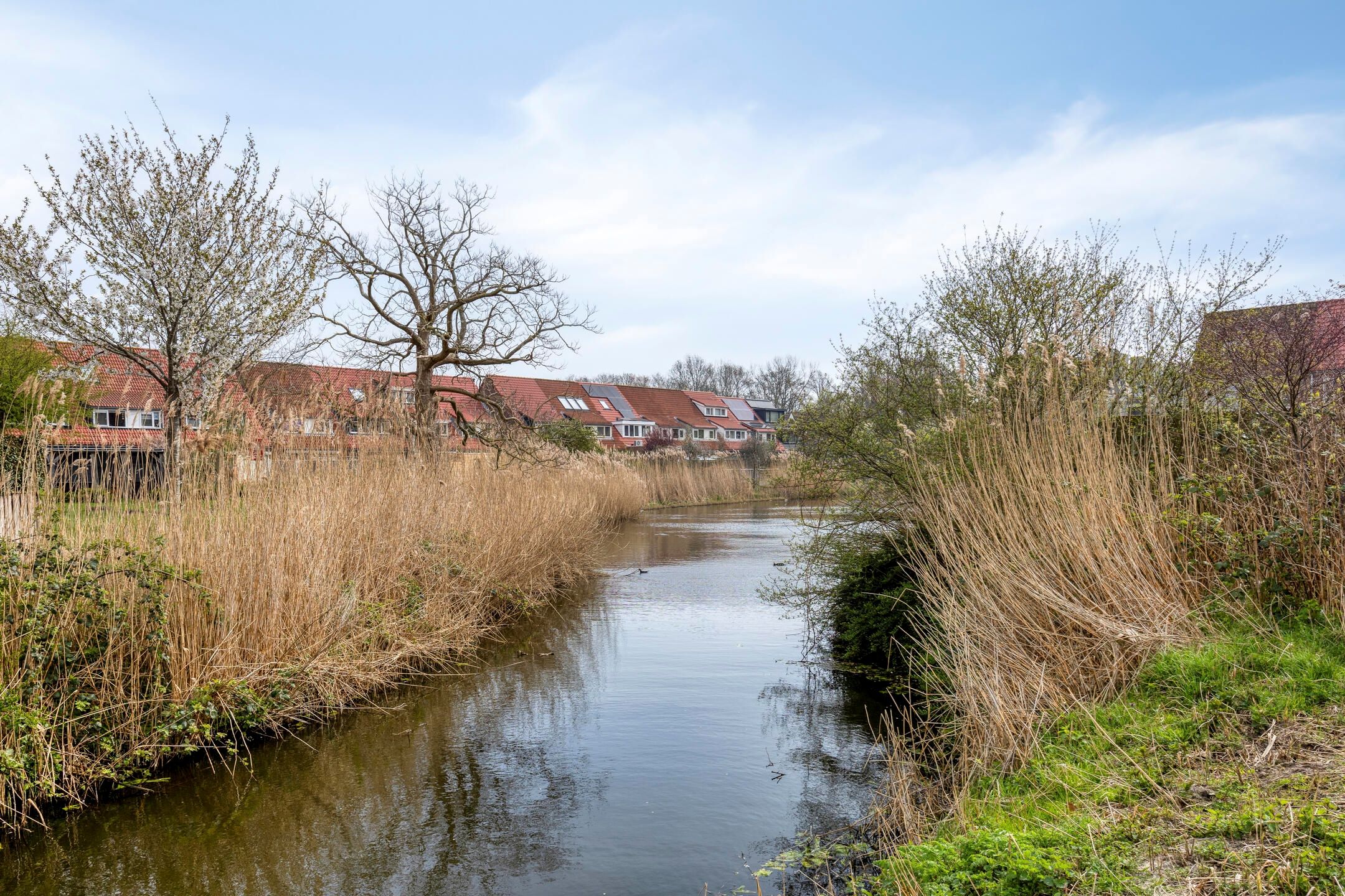 Foto 51 van Libellendans 25