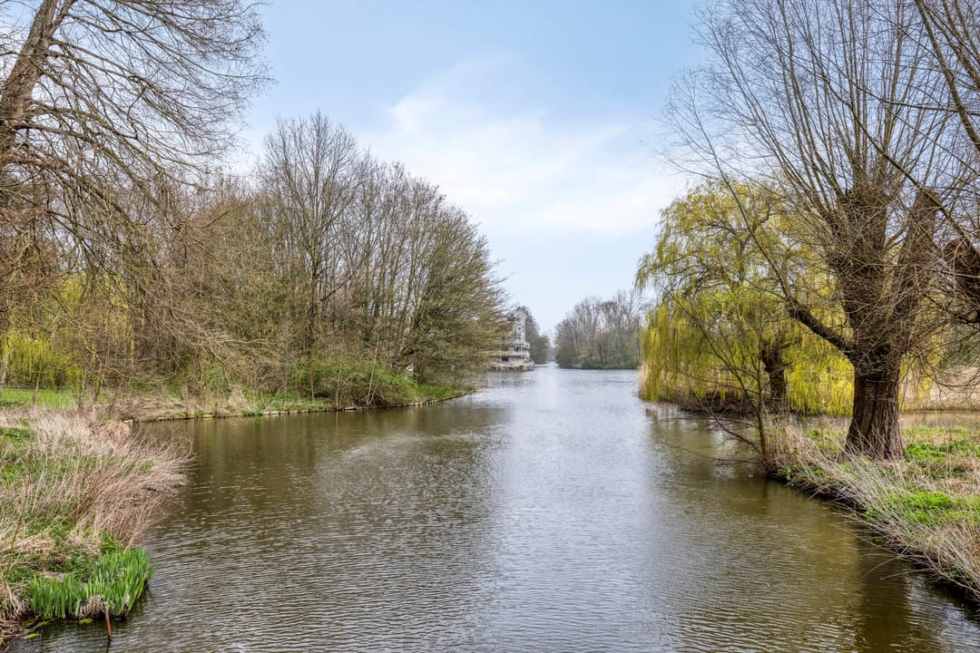 Foto 52 van Libellendans 25