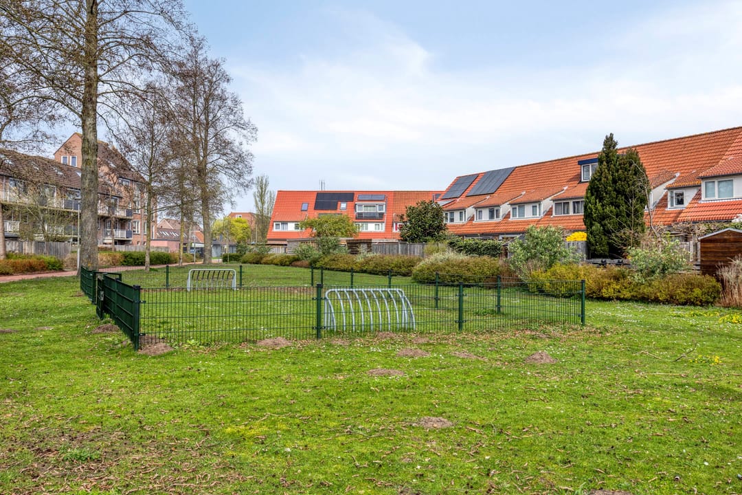 Foto 53 van Libellendans 25