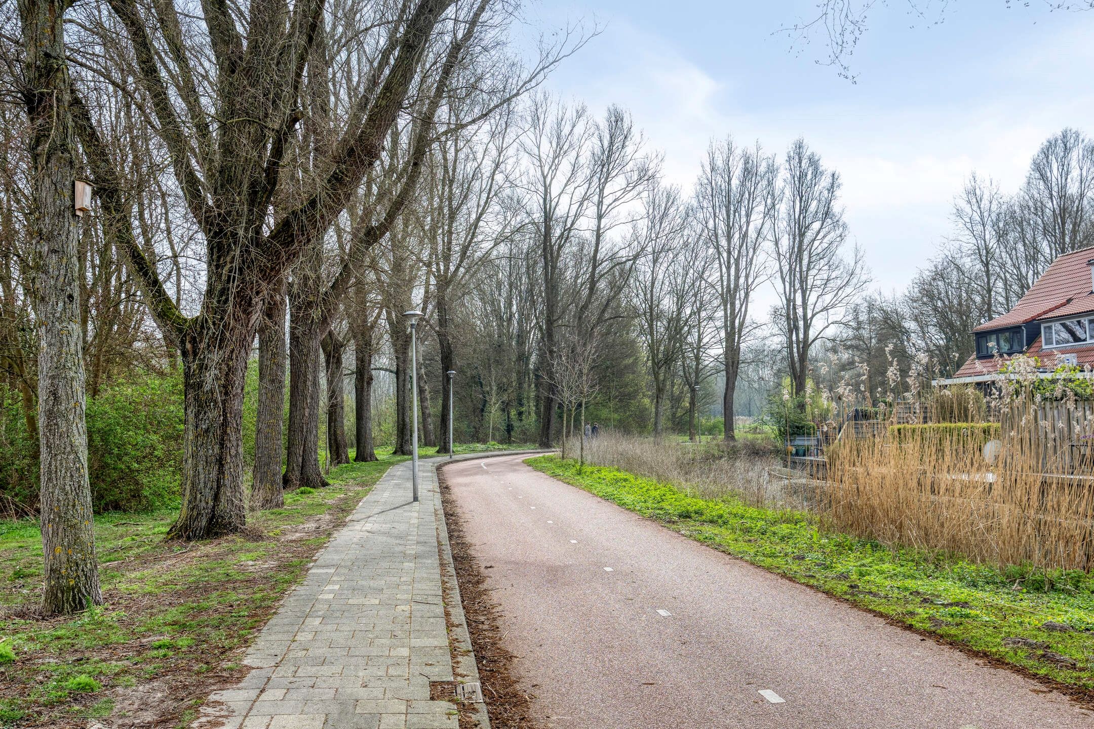 Foto 54 van Libellendans 25