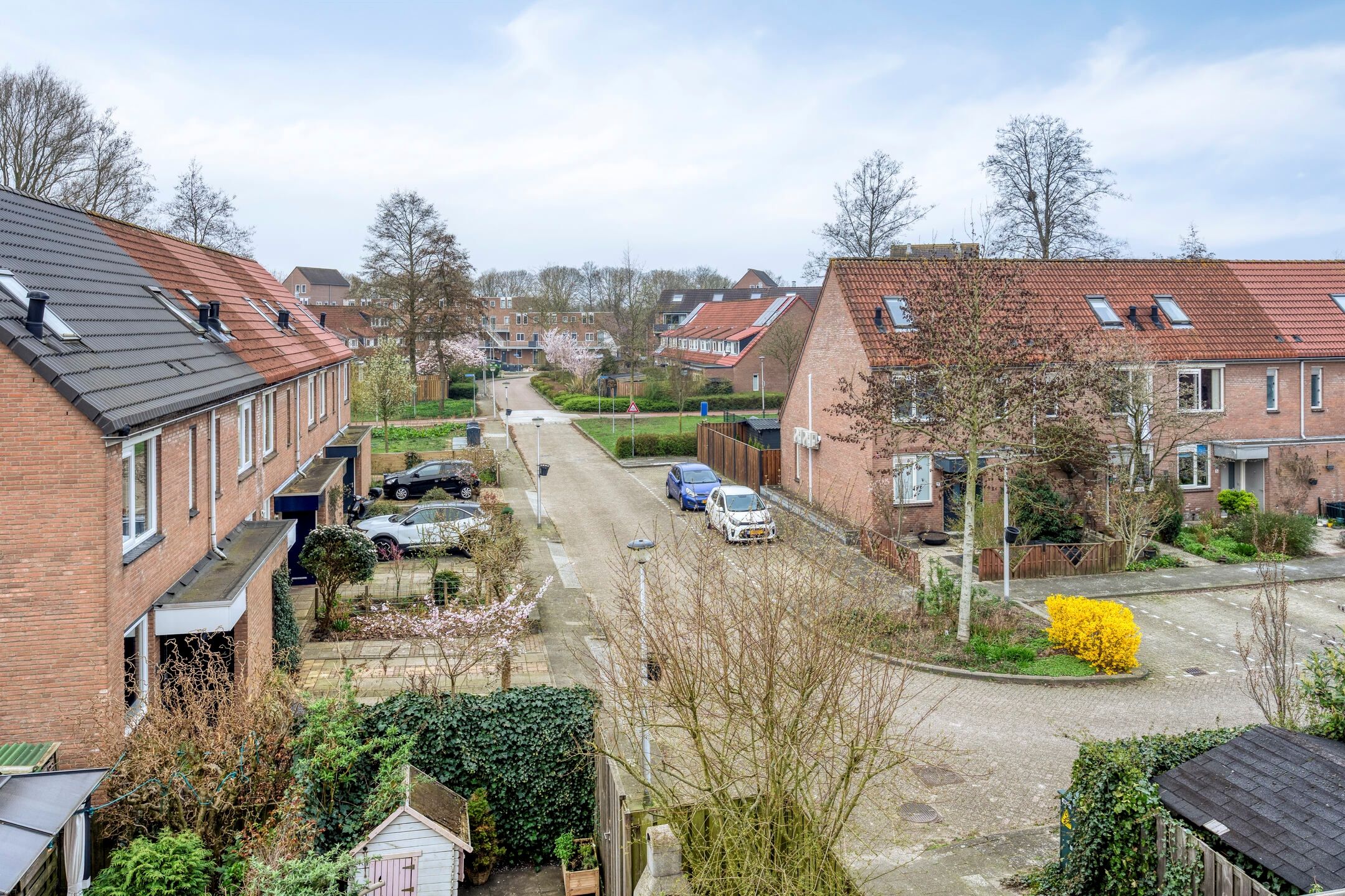 Foto 33 van Libellendans 25