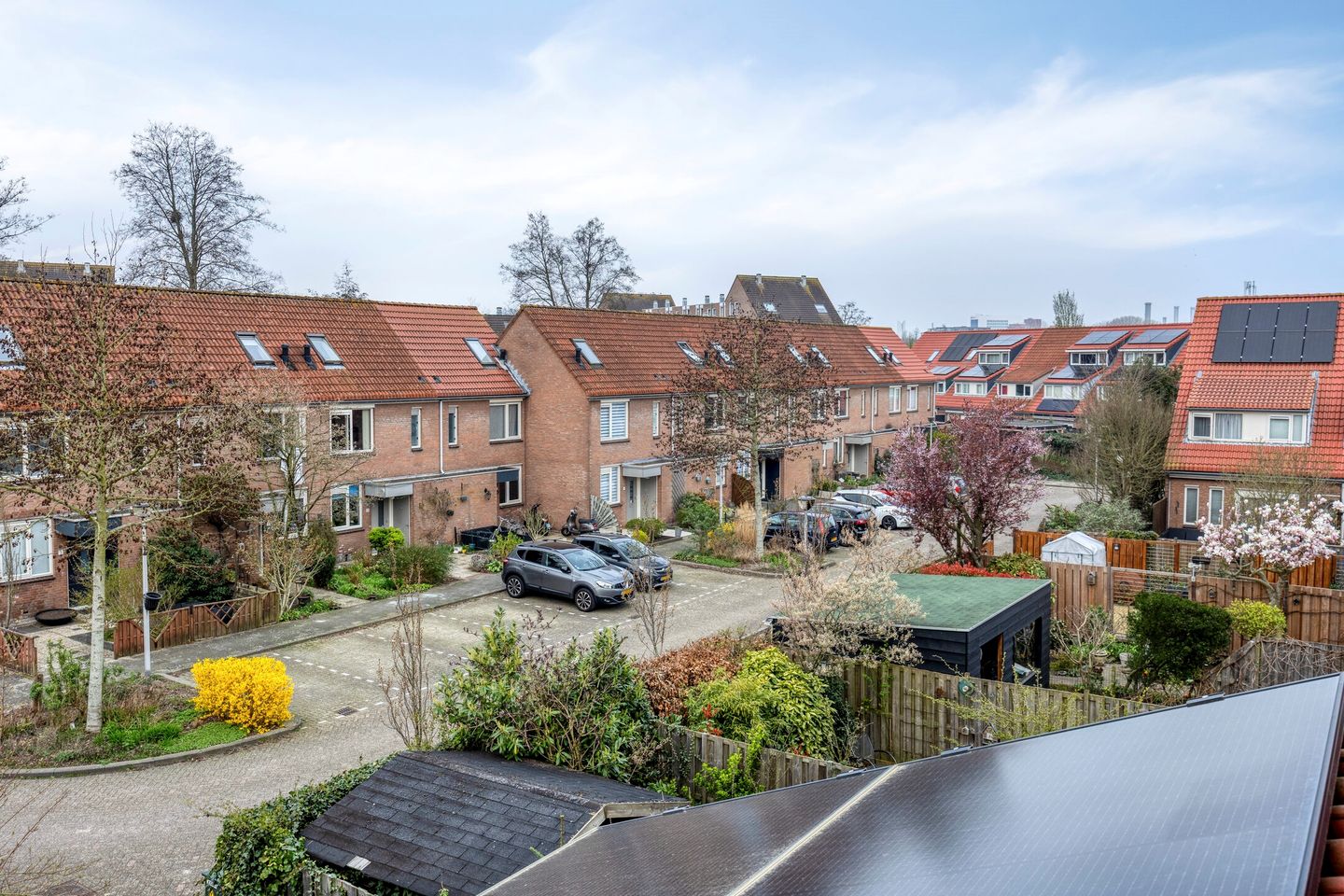 Foto 35 van Libellendans 25