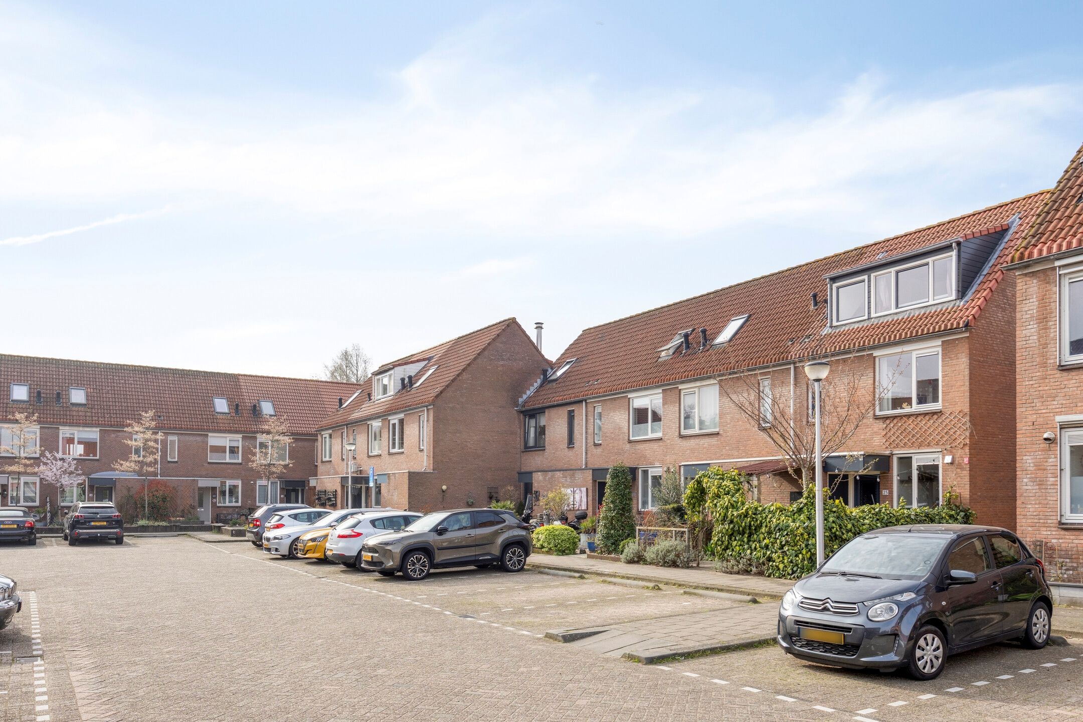 Foto 48 van Libellendans 25