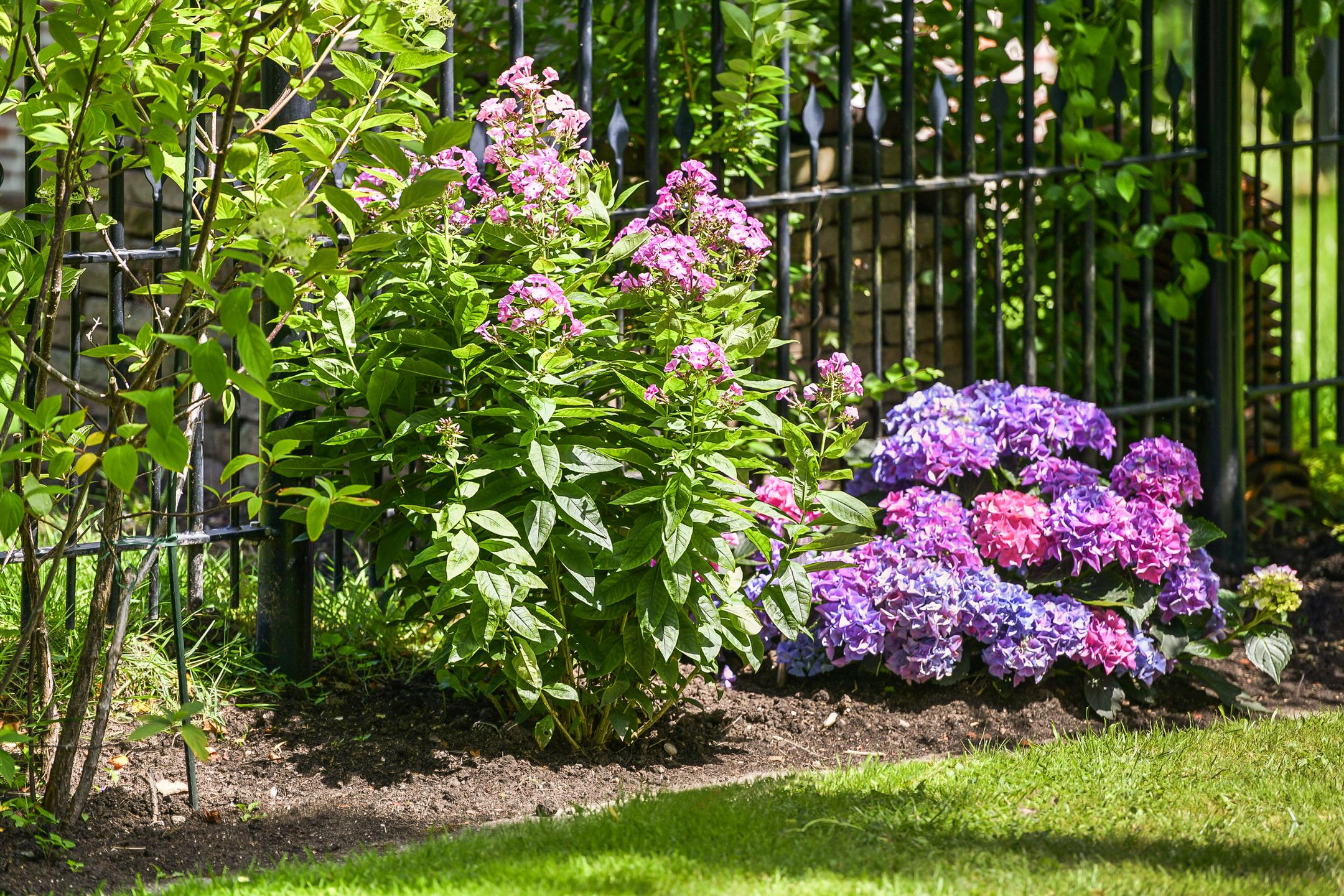 Foto 48 van Bloemendaal 4