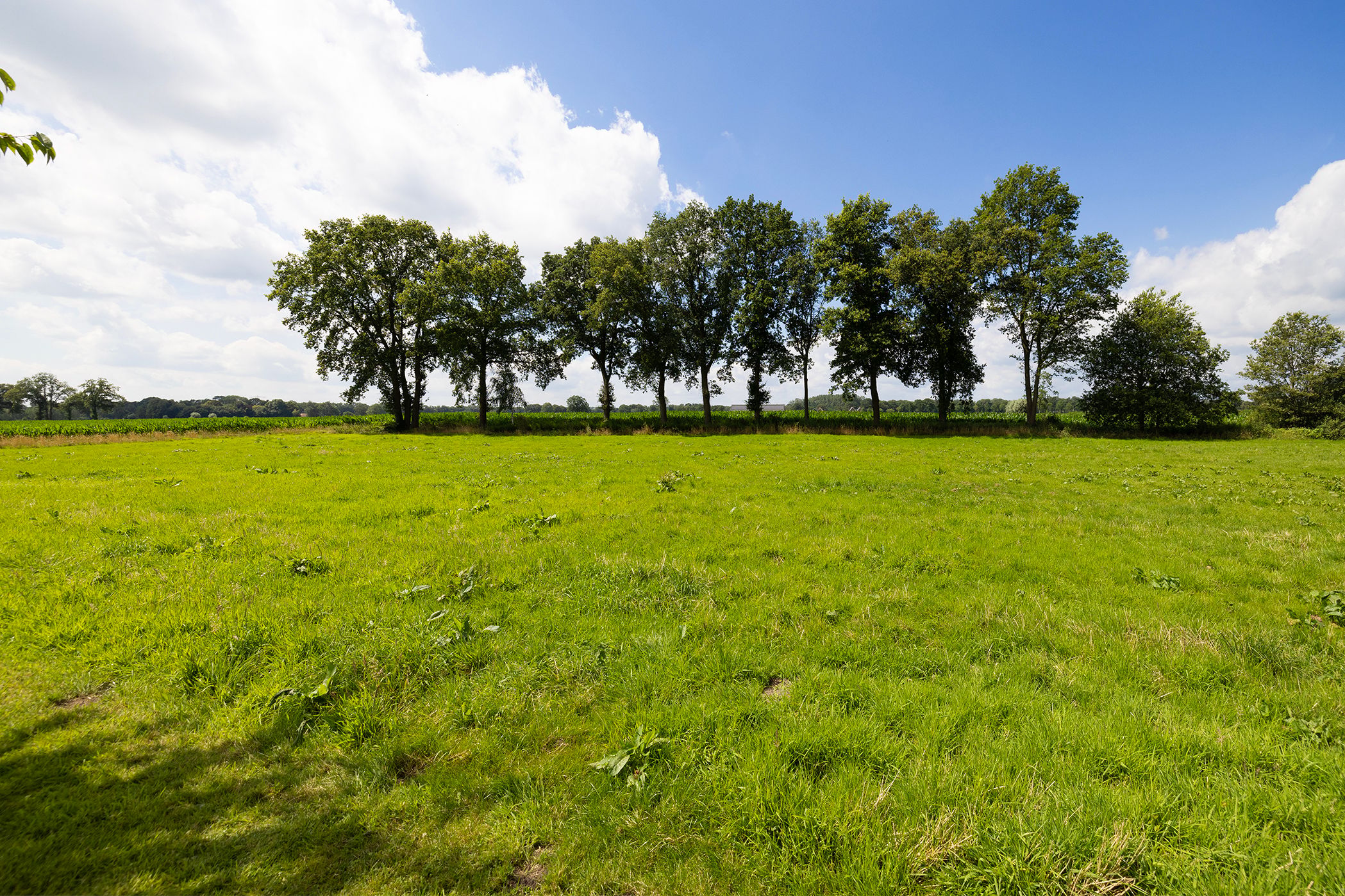 Sustainable luxury farmstead with outbuilding near Lochem — 75