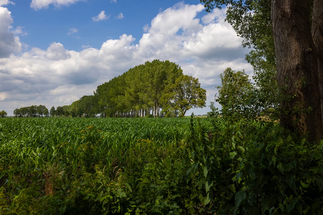 Sustainable luxury farmstead with outbuilding near Lochem — 76