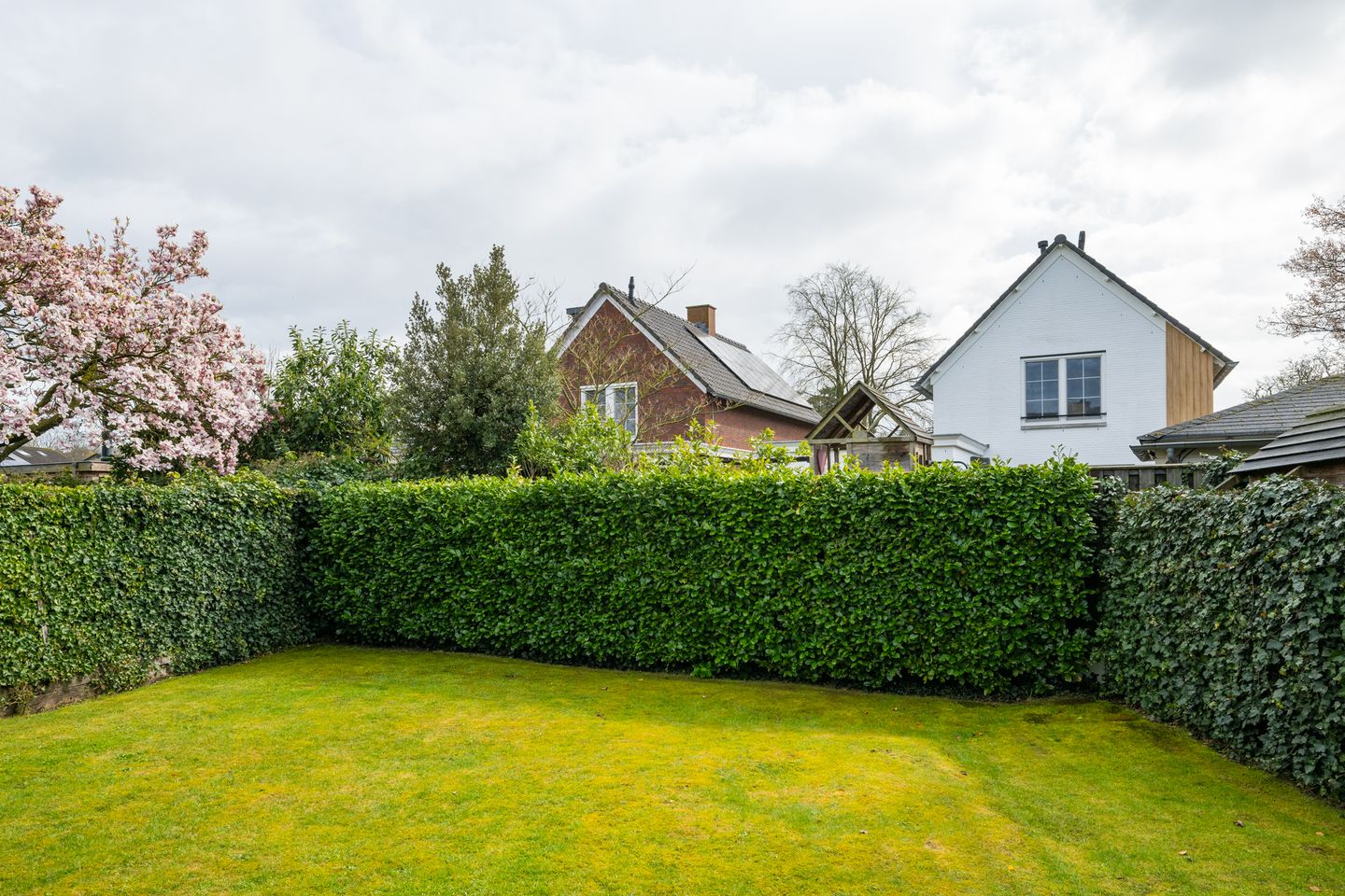 Foto 44 van de Steege 43