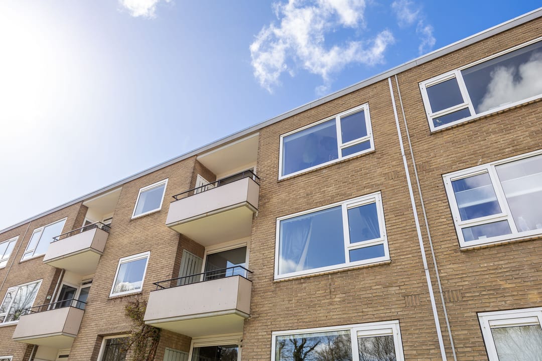 Photo 7 of Helperzoom 137